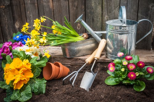 Transformed garden after clearance in Islington