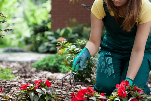 Volunteers repurposing reclaimed timber and mulch for community garden