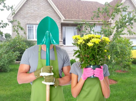 Practical hedge maintenance work in a compact urban garden